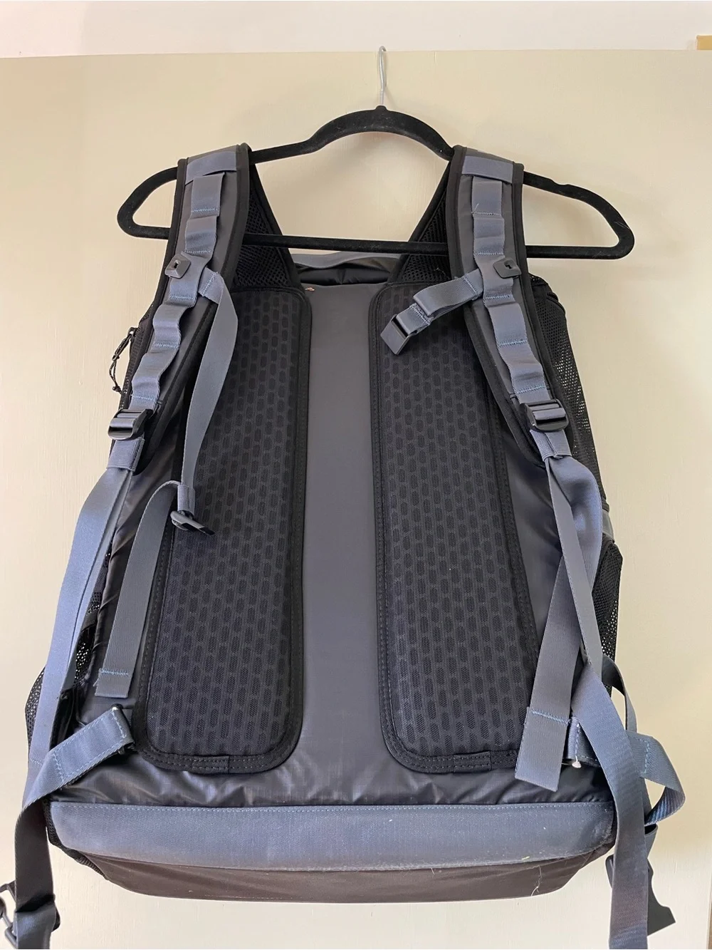 Timbuk2 Black Muttmover Dog Backpack